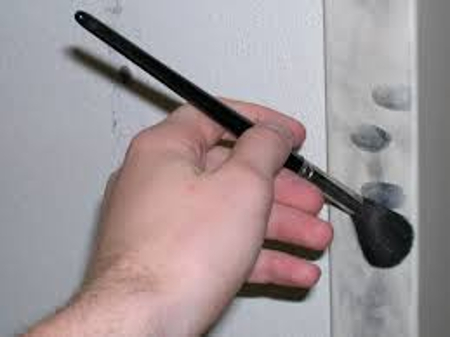 Fingerprints To DNA