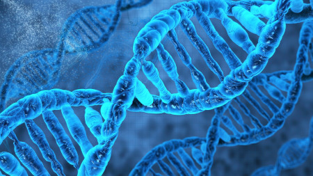 DNA