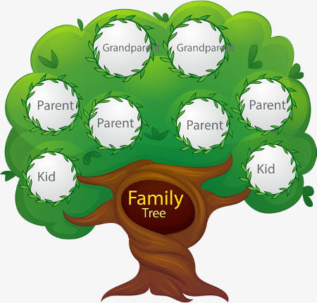 Family Tree